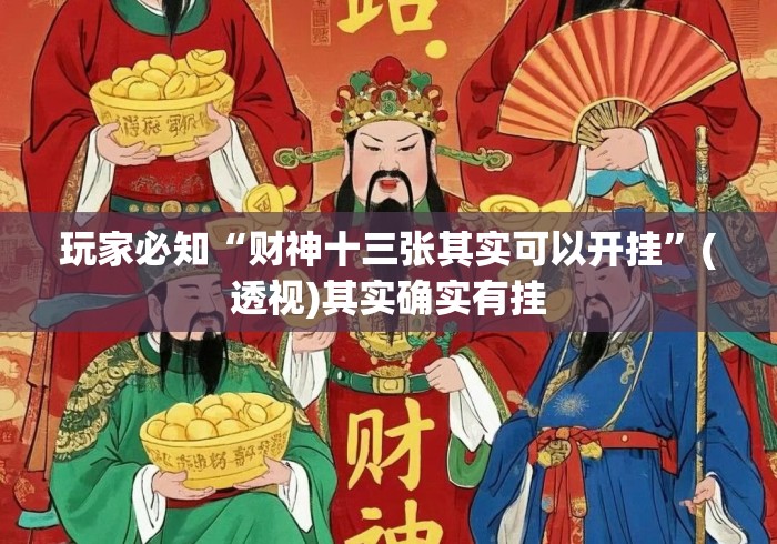 玩家必知“财神十三张其实可以开挂”(透视)其实确实有挂