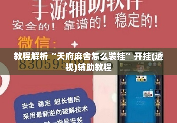 教程解析“天府麻舍怎么装挂	”开挂(透视)辅助教程