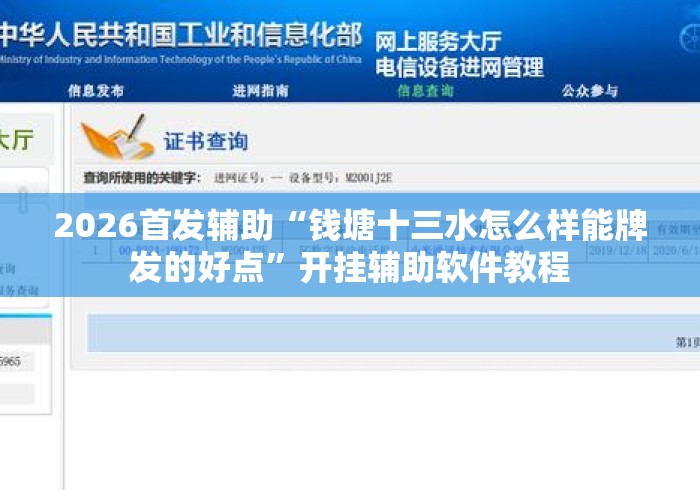 2026首发辅助“钱塘十三水怎么样能牌发的好点	”开挂辅助软件教程