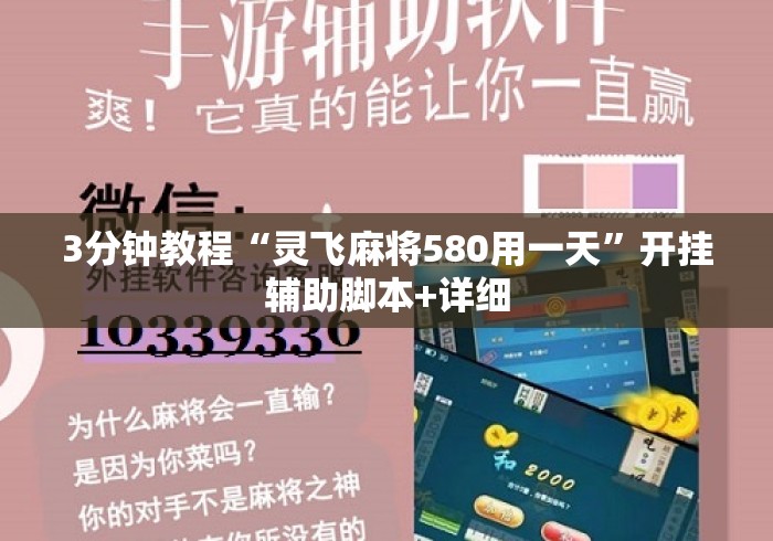 3分钟教程“灵飞麻将580用一天”开挂辅助脚本+详细
