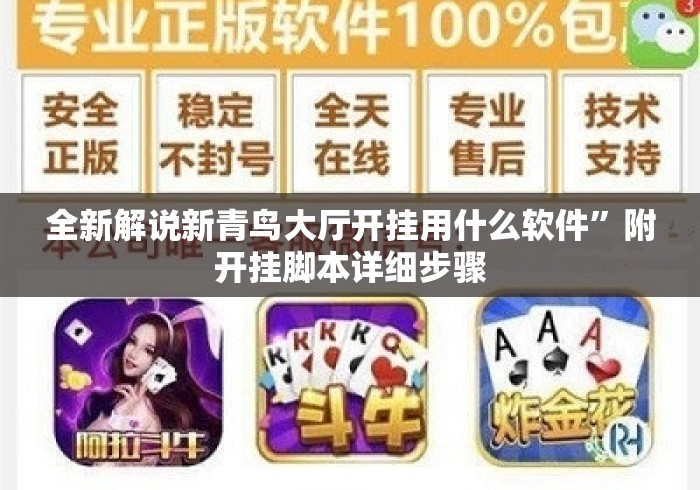 全新解说新青鸟大厅开挂用什么软件”附开挂脚本详细步骤