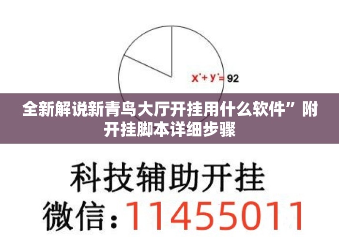 全新解说新青鸟大厅开挂用什么软件	”附开挂脚本详细步骤