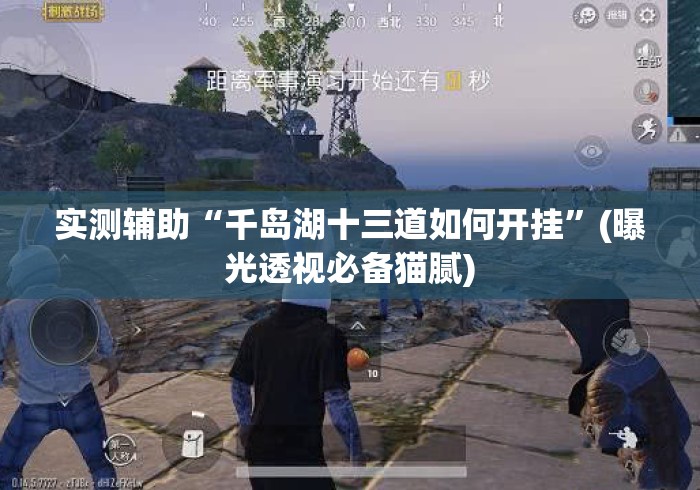 实测辅助“千岛湖十三道如何开挂”(曝光透视必备猫腻)