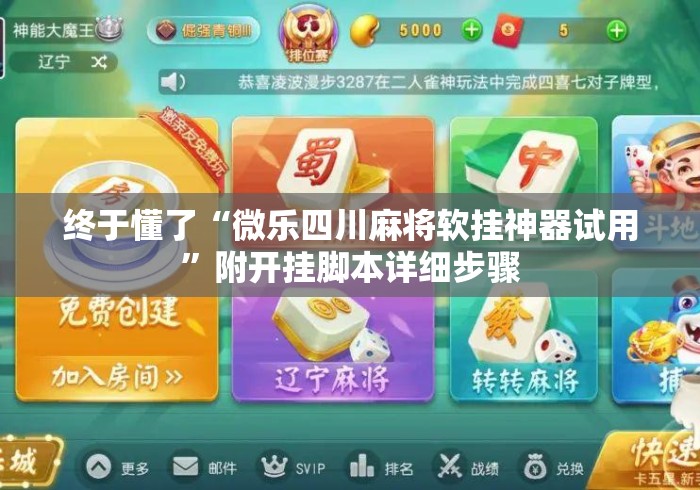 终于懂了“微乐四川麻将软挂神器试用”附开挂脚本详细步骤