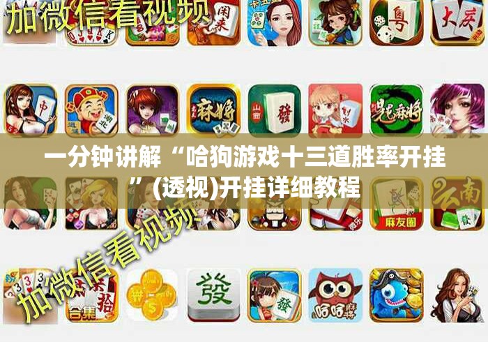 一分钟讲解“哈狗游戏十三道胜率开挂	”(透视)开挂详细教程