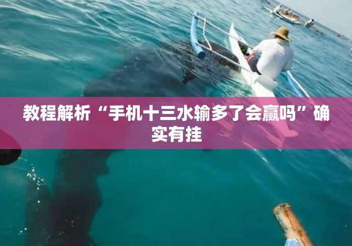 教程解析“手机十三水输多了会赢吗”确实有挂
