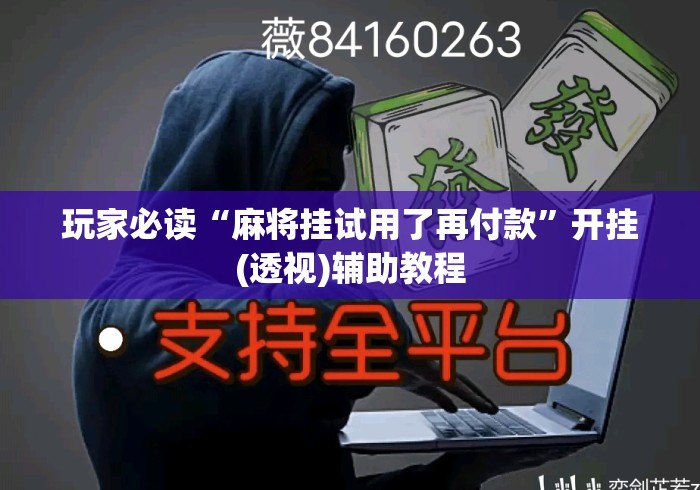 玩家必读“麻将挂试用了再付款”开挂(透视)辅助教程