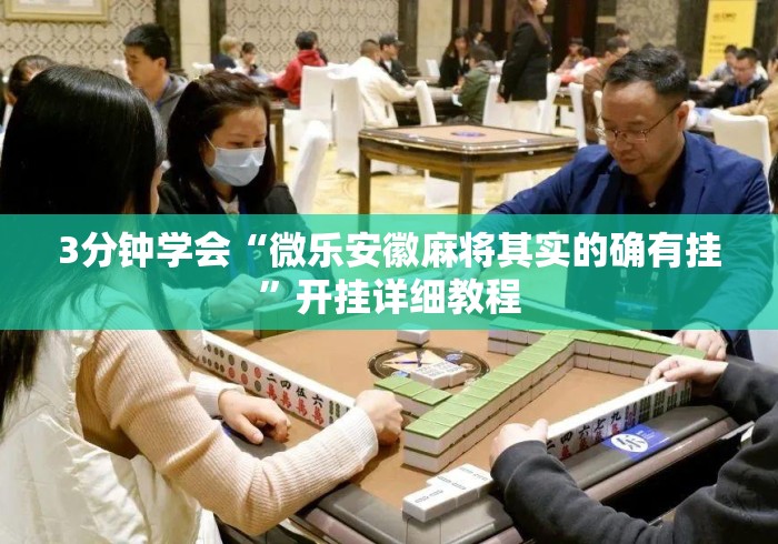 3分钟学会“微乐安徽麻将其实的确有挂”开挂详细教程