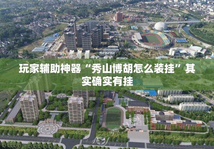 玩家辅助神器“秀山博胡怎么装挂”其实确实有挂