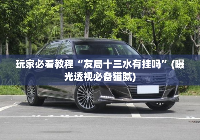 玩家必看教程“友局十三水有挂吗”(曝光透视必备猫腻)
