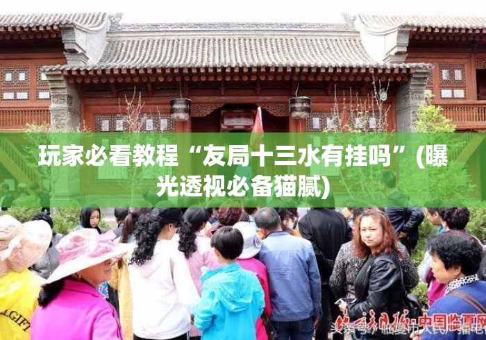 玩家必看教程“友局十三水有挂吗”(曝光透视必备猫腻)