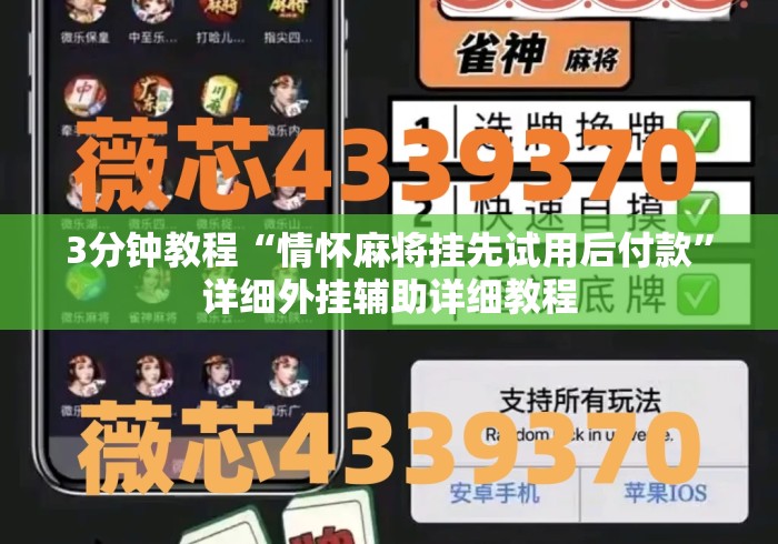 3分钟教程“情怀麻将挂先试用后付款”详细外挂辅助详细教程