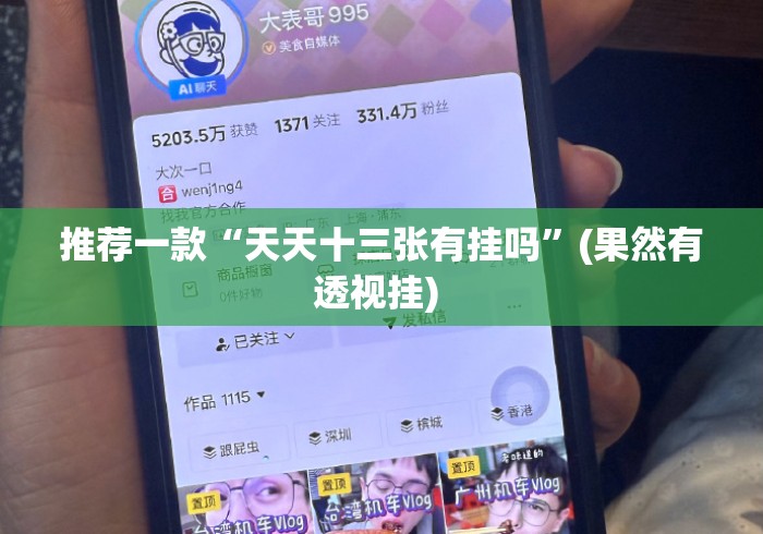 推荐一款“天天十三张有挂吗”(果然有透视挂) 