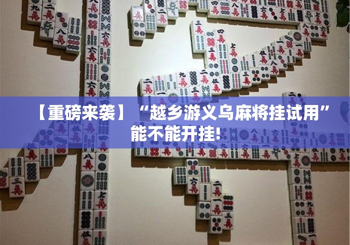 【重磅来袭】“越乡游义乌麻将挂试用”能不能开挂!