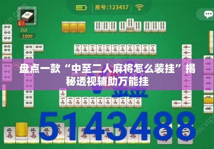 盘点一款“中至二人麻将怎么装挂”揭秘透视辅助万能挂