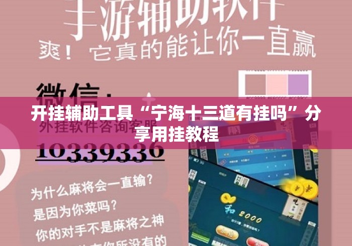开挂辅助工具“宁海十三道有挂吗”分享用挂教程