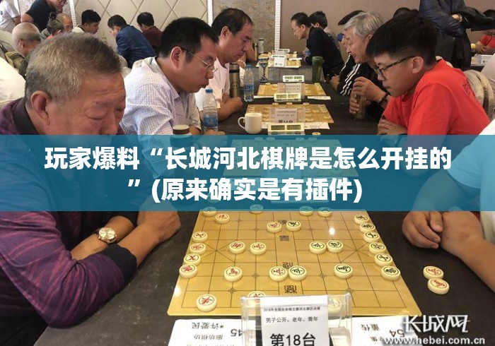 玩家爆料“长城河北棋牌是怎么开挂的	”(原来确实是有插件) 