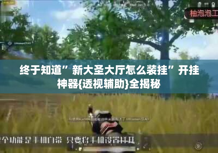 终于知道”新大圣大厅怎么装挂”开挂神器{透视辅助}全揭秘