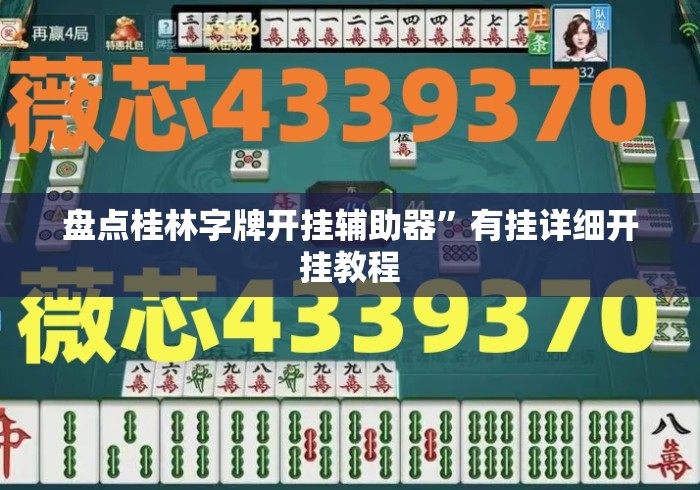 盘点桂林字牌开挂辅助器”有挂详细开挂教程