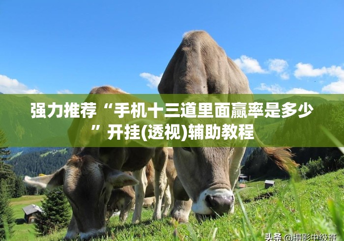 强力推荐“手机十三道里面赢率是多少”开挂(透视)辅助教程