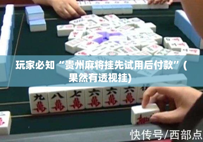 玩家必知“贵州麻将挂先试用后付款	”(果然有透视挂) 