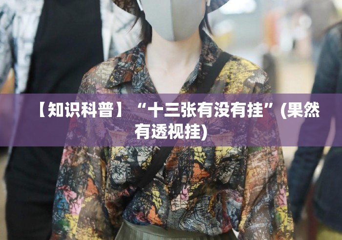 【知识科普】“十三张有没有挂	”(果然有透视挂)