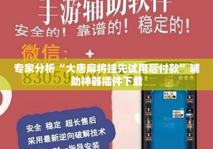 专家分析“大唐麻将挂先试用后付款”辅助神器插件下载