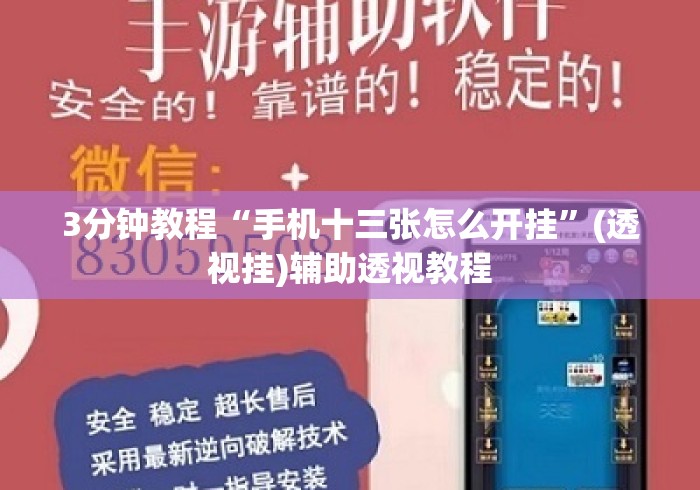 3分钟教程“手机十三张怎么开挂”(透视挂)辅助透视教程