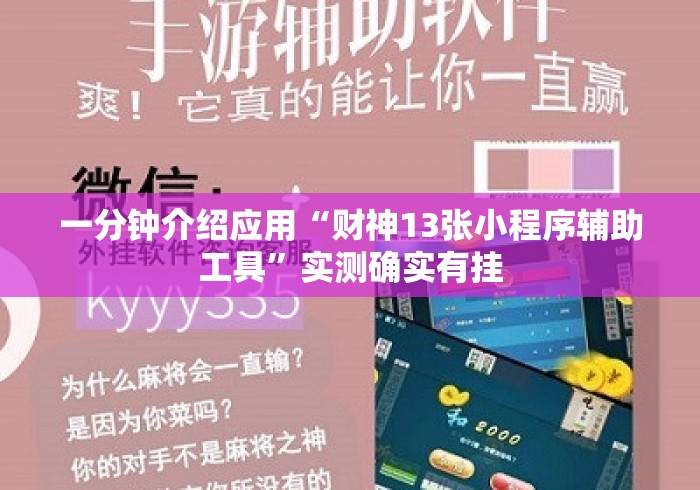 一分钟介绍应用“财神13张小程序辅助工具”实测确实有挂