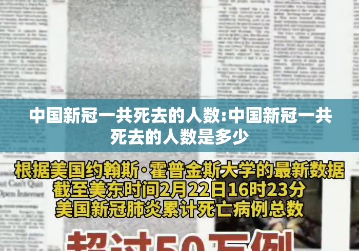 4分钟了解“功夫熊猫牛牛怎么装挂”(原来确实是有挂) 