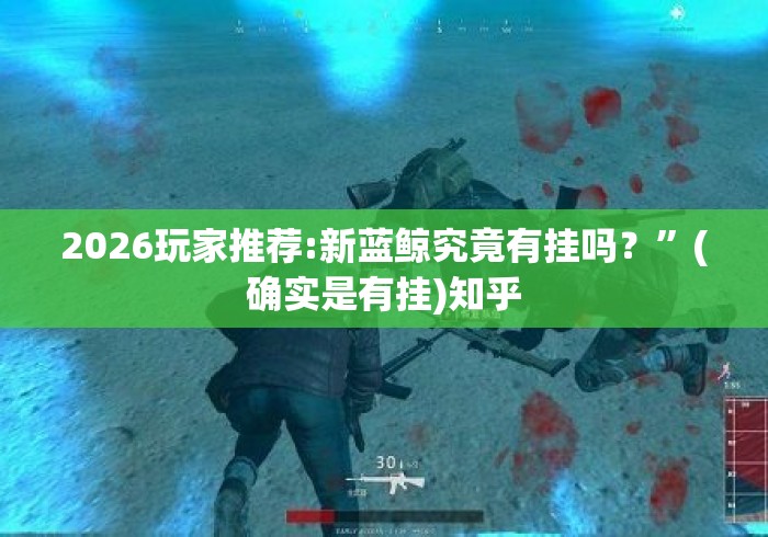 2026玩家推荐:新蓝鲸究竟有挂吗？	”(确实是有挂)知乎