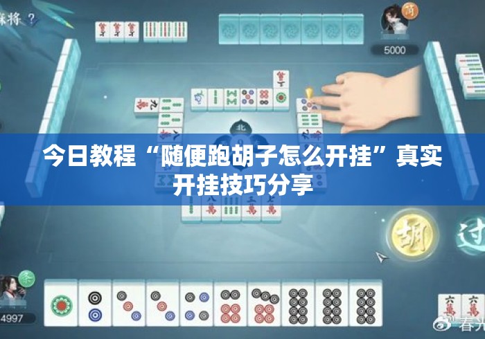 今日教程“随便跑胡子怎么开挂”真实开挂技巧分享