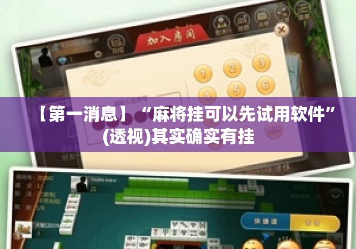 【第一消息】“麻将挂可以先试用软件”(透视)其实确实有挂