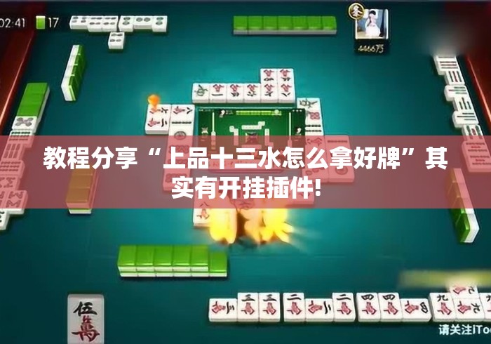 教程分享“上品十三水怎么拿好牌”其实有开挂插件!