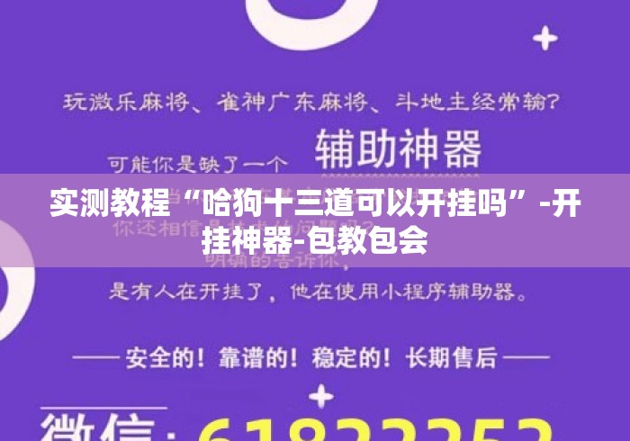 实测教程“哈狗十三道可以开挂吗	”-开挂神器-包教包会