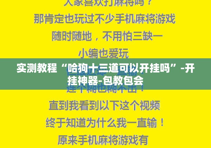 实测教程“哈狗十三道可以开挂吗”-开挂神器-包教包会
