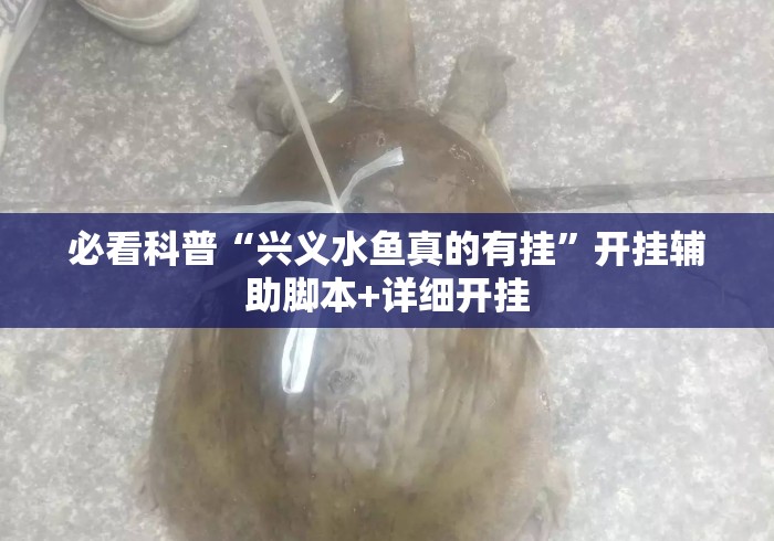 必看科普“兴义水鱼真的有挂”开挂辅助脚本+详细开挂