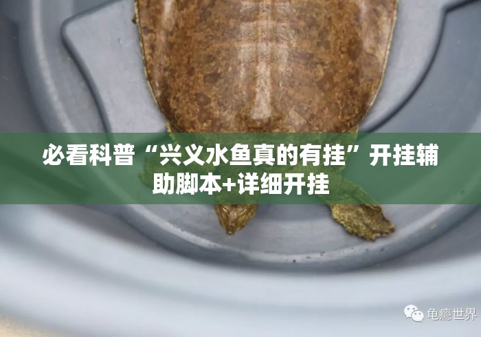 必看科普“兴义水鱼真的有挂	”开挂辅助脚本+详细开挂