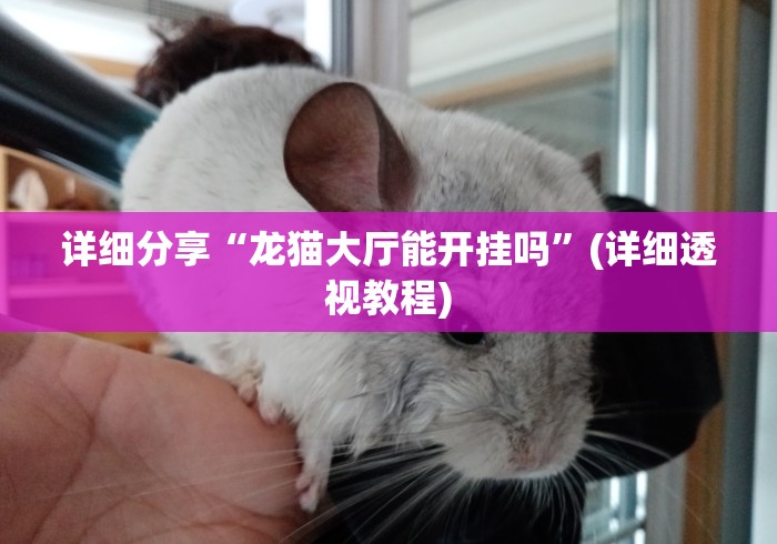 详细分享“龙猫大厅能开挂吗	”(详细透视教程)