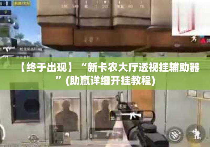 【终于出现】“新卡农大厅透视挂辅助器”(助赢详细开挂教程)