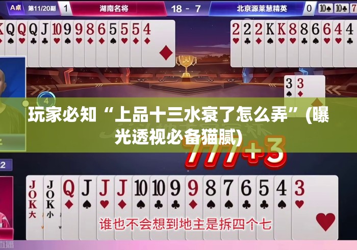 玩家必知“上品十三水衰了怎么弄	”(曝光透视必备猫腻)