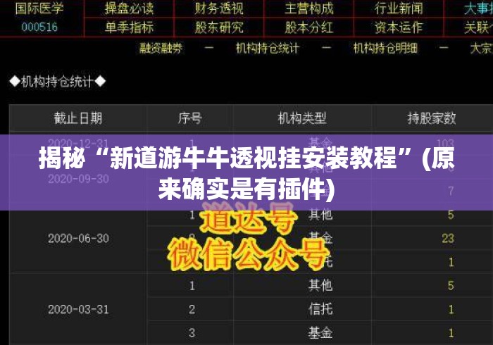 揭秘“新道游牛牛透视挂安装教程”(原来确实是有插件)