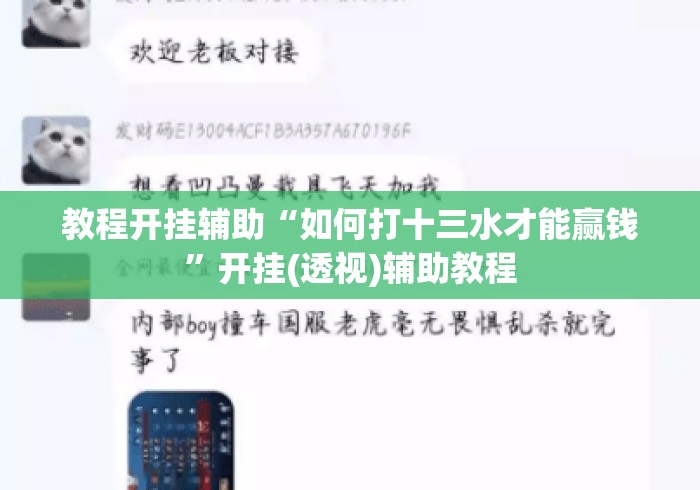 教程开挂辅助“如何打十三水才能赢钱”开挂(透视)辅助教程