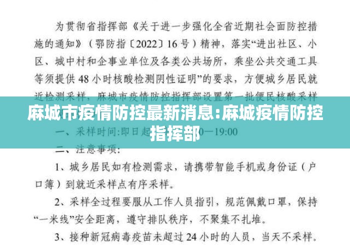 最新一款“娱网皮球有没有挂”作弊挂(辅助外挂+