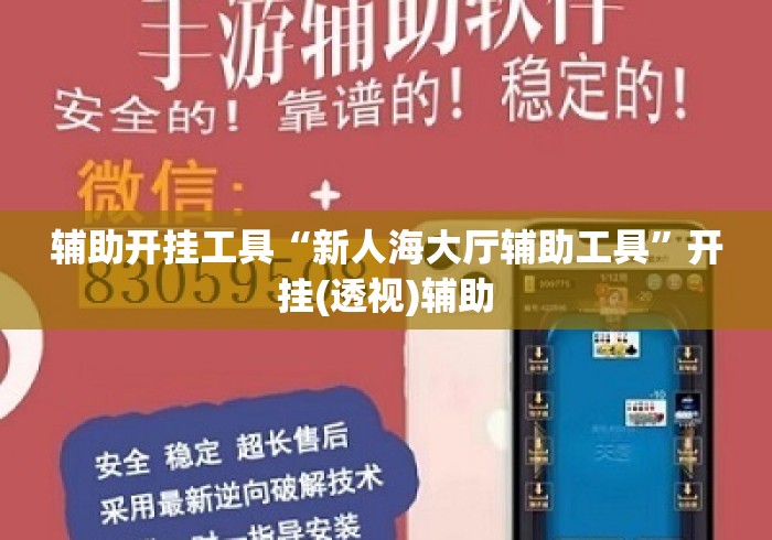 辅助开挂工具“新人海大厅辅助工具”开挂(透视)辅助