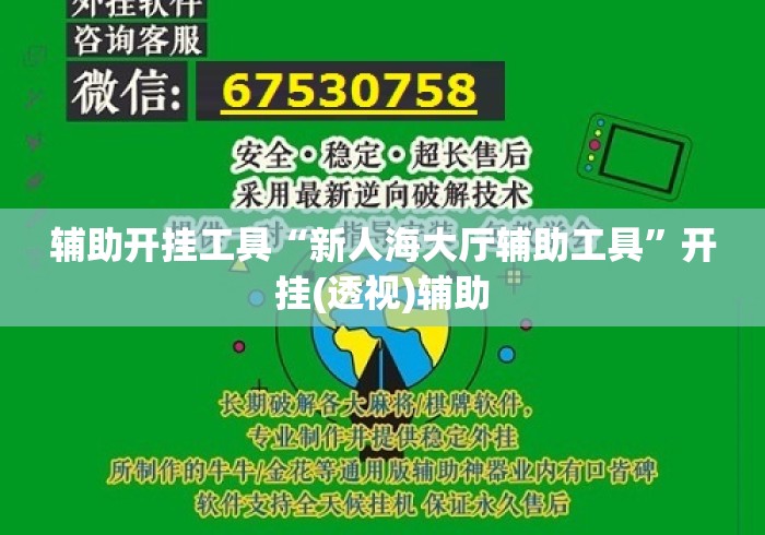 辅助开挂工具“新人海大厅辅助工具”开挂(透视)辅助