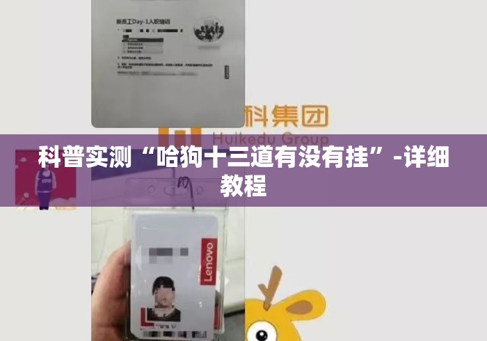 科普实测“哈狗十三道有没有挂	”-详细教程