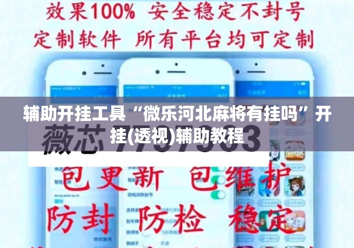 辅助开挂工具“微乐河北麻将有挂吗	”开挂(透视)辅助教程