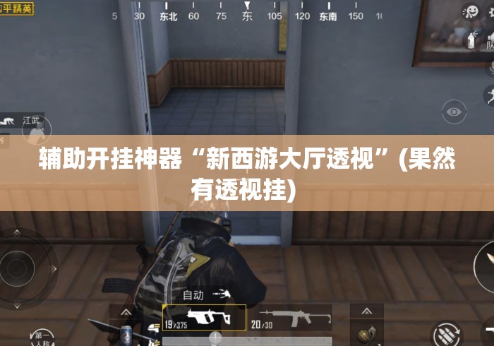 辅助开挂神器“新西游大厅透视”(果然有透视挂) 