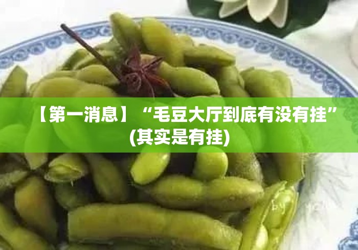 【第一消息】“毛豆大厅到底有没有挂”(其实是有挂)